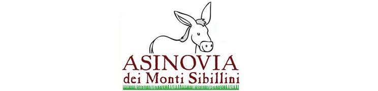 logo asinovia